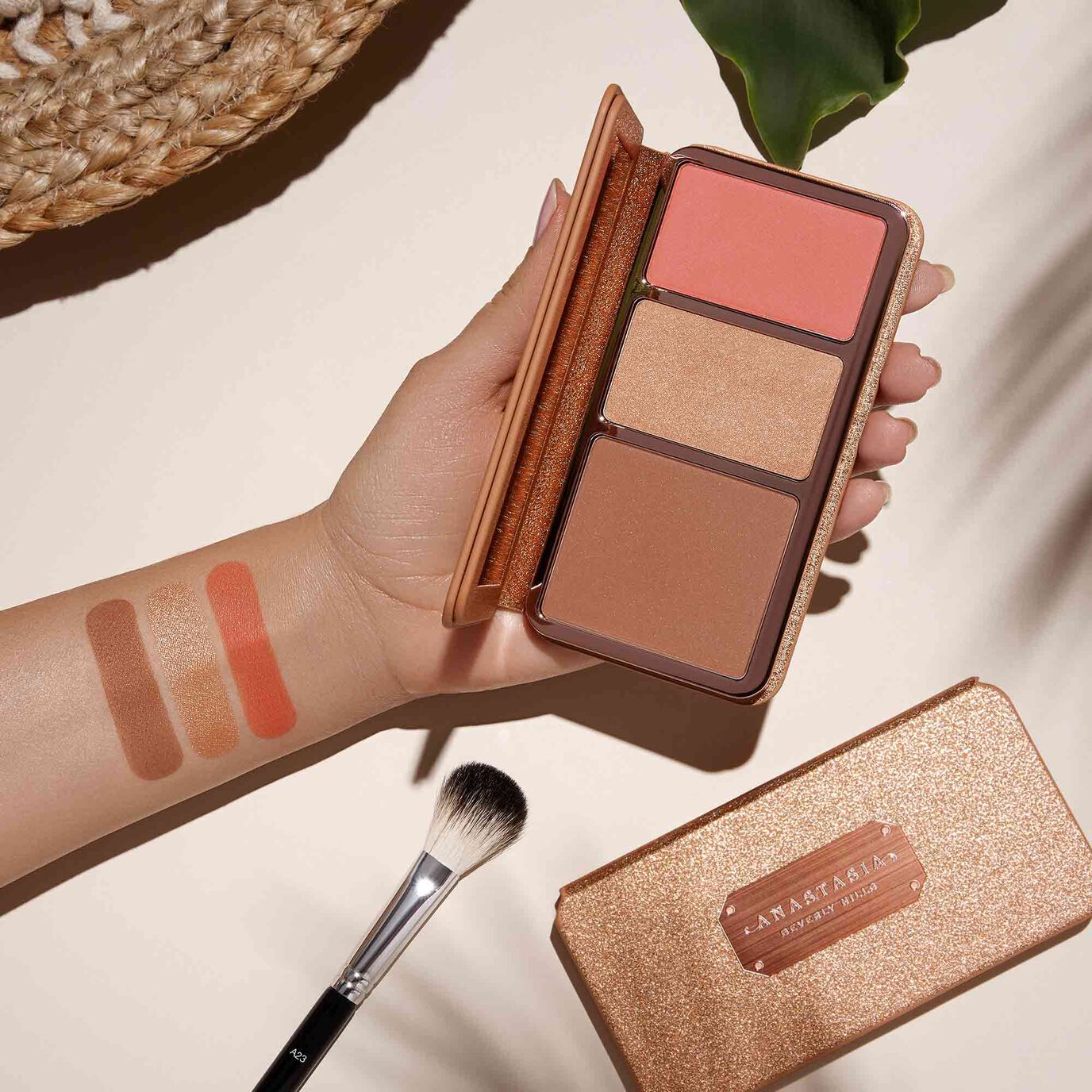 Face Palette  Off to Costa Rica
